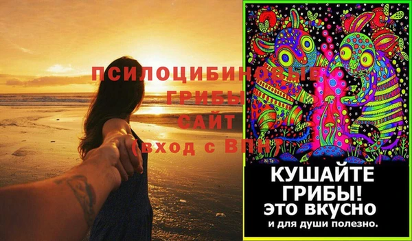дживик Медвежьегорск